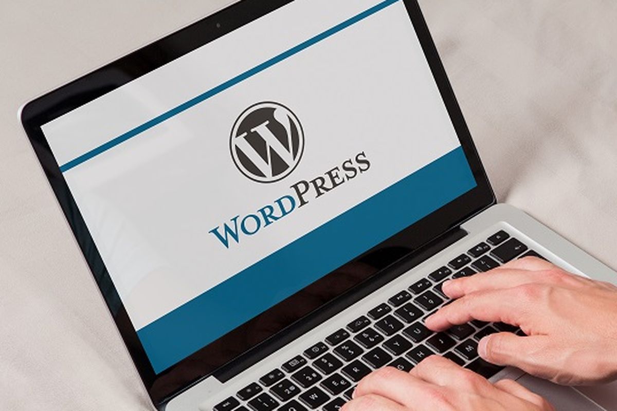 7 Plugin WordPress Terbaik untuk Optimasi PageSpeed Tanpa Merusak Tampilan