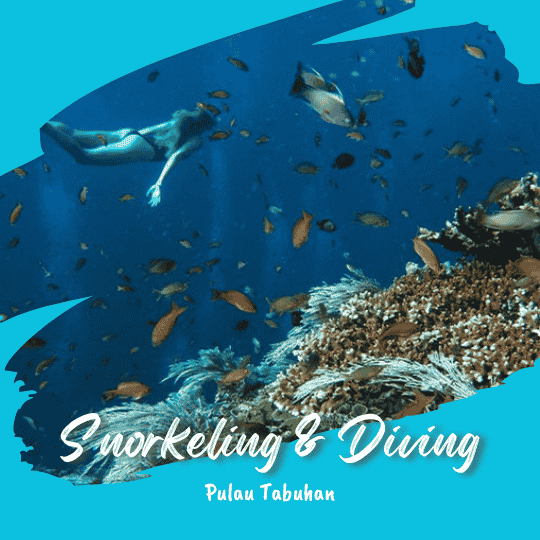 Spot Snorkeling dan Diving Paling Indah di Pulau Tabuhan