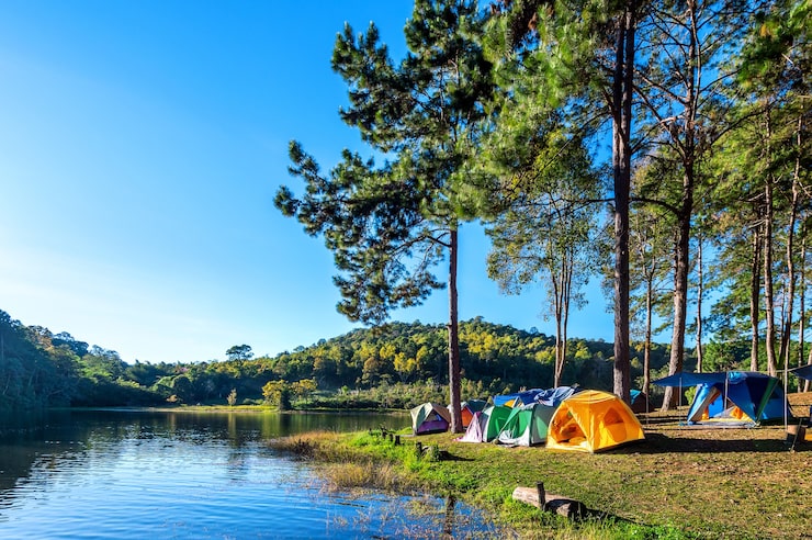 Camping Murah Meriah di Lembang: Apa Saja Pilihan Harganya?